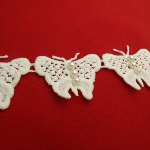 joli papillon blanc