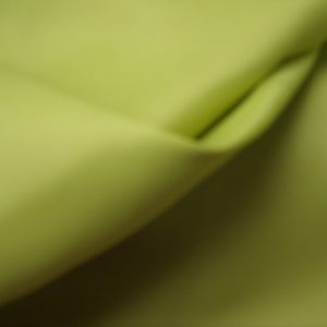 DOUBLURE VERT ANIS