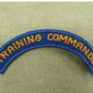 écusson militaire à coudre bleu et jaune , largeur 10cm sur hauteur 2cm