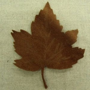 écusson à coudre - feuille marron ,largeur 7cm sur hauteur 7cm