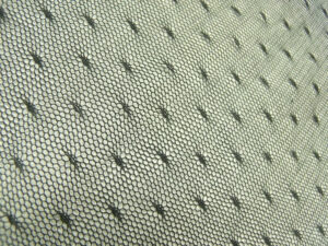 TULLE/NOIR PLUMETIS