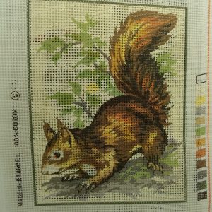CANEVAS MOTIF ANIMAUX ECUREUIL 20x25 cm