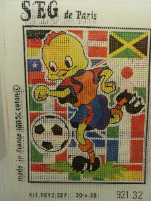 CANEVAS MOTIF FOOT 20 x 25 cm