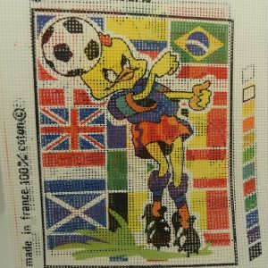 CANEVAS MOTIF FOOT 20 x 25 cm