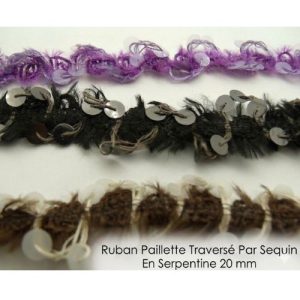 Ruban Pailleté Traversé Par Sequin En Serpentine 20 mm