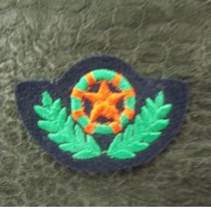 écusson thermocollant MILITAIRE étoile et palme vert et rouge sur fond noir largeur 4,5 cm / hauteur 3 cm