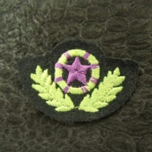 écusson thermocollant MILITAIRE étoile & palme vert et violet sur fond noir largeur 4,5 cm / hauteur 3 cm
