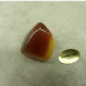 PIERRE MOTIF STOMACHACHE- CARNELIAN,HAUTEUR: 2 cm / EPAISSEUR: 1,5 cm