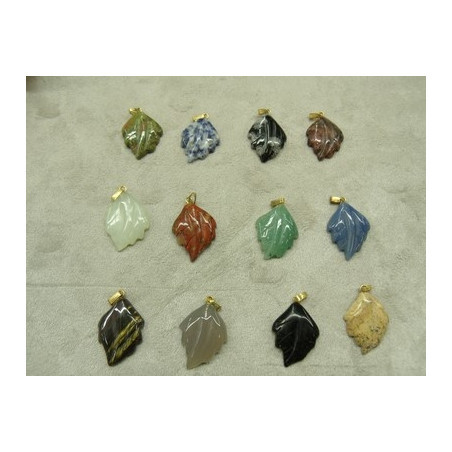 Feuilles, trèfles & coquillages