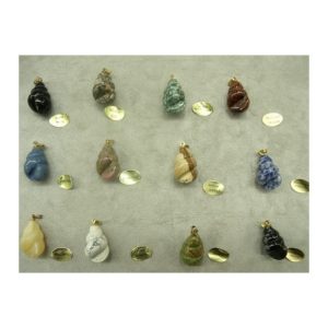 MOTIF COQUILLAGE