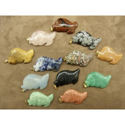 MOTIF POISSON