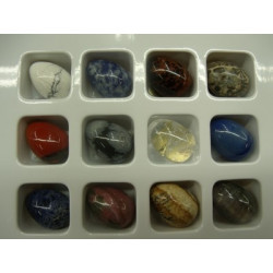 MOTIF OEUF PM