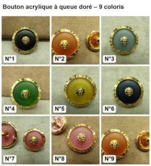Bouton acrylique à queue doré : les 9 coloris numérotés